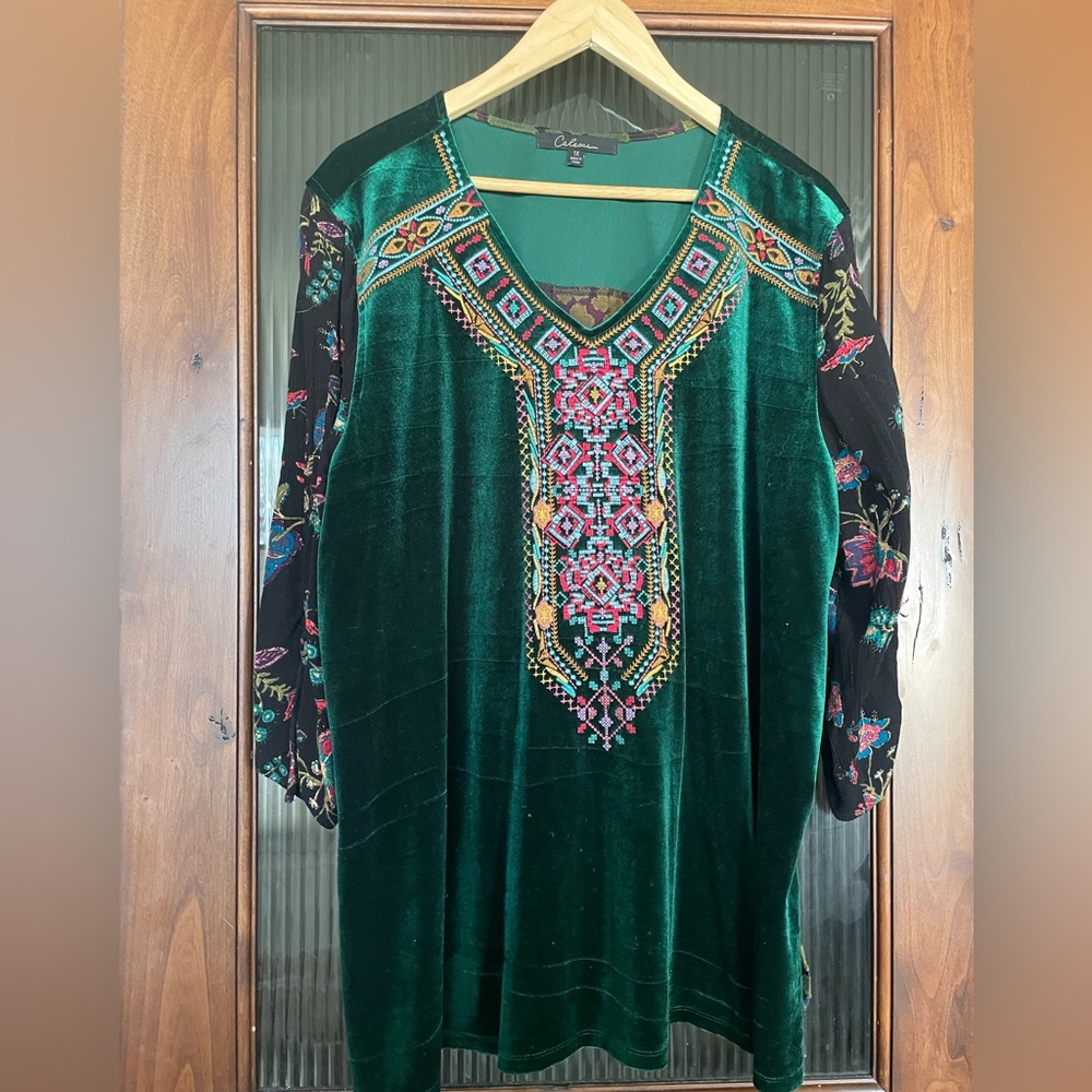 Calessa green embroidered top 1X GUC